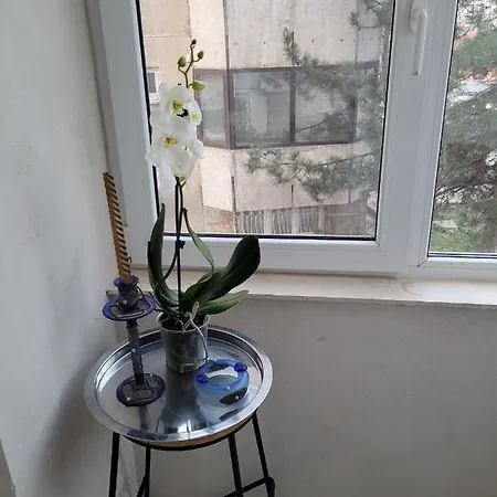 Neversea Констанца